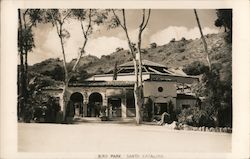 Bird Park Santa Catalina Island, CA Postcard Postcard Postcard