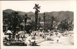 Avalon Beach Scene Postcard