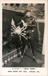 Diver on Glass Bottom Boat Trip Postcard