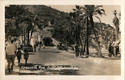 Looking Along Crescent Avenue Santa Catalina Island, CA Reyes Postcard Postcard Postcard