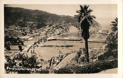 Southern Catalina Island Postcard