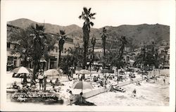 Avalon Beach Scene Postcard
