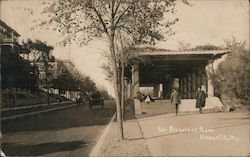 Pergola on Paseo Postcard