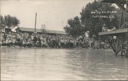 Crowded and Clothed, Bathing Beach Postcard