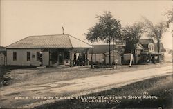 Wm. F Tiffany & Sons Filling Station & Show Room Delanson, NY Postcard Postcard Postcard