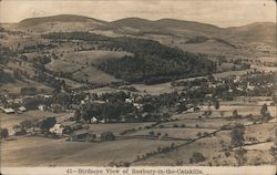 Birdseye View of Roxbury-in-the-Catskills Postcard