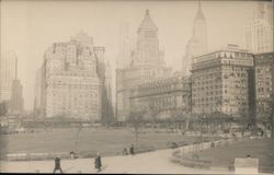 Hotels, Central Park Postcard