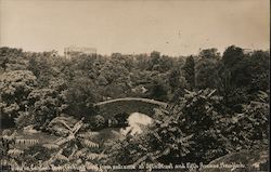 Central Park, Looking West from Entrance at 59th and 5th Avenue Postcard