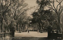 The Mall in Central Park Postcard