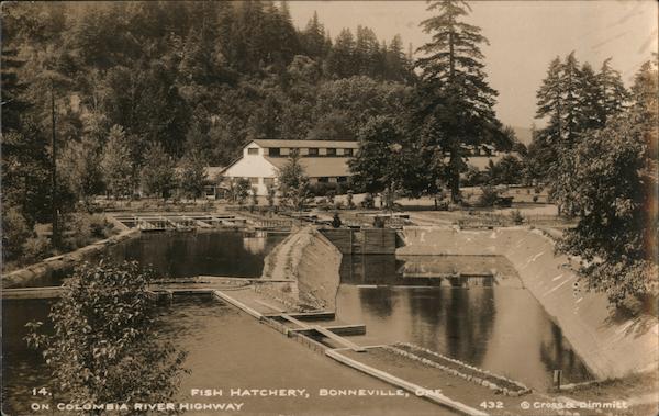 Fish Hatchery Bonneville Oregon