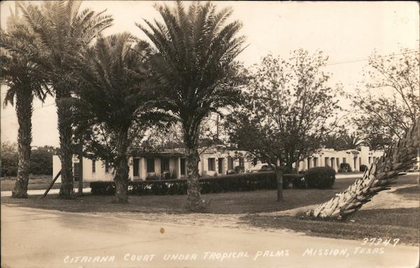 Citriana Court Under Tropical Palms Mission Texas