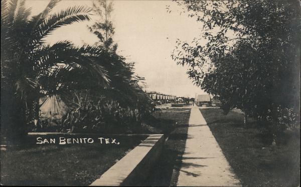 Tree Lined Walkway San Benito Texas
