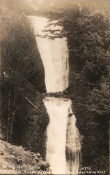 Bridal Veil Falls, Columbia River Highway Postcard