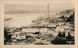 Birds Eye View Postcard