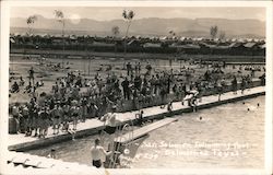 San Solomon Springs Swimming Pool Balmorhea, TX Howard Photo Postcard Postcard Postcard