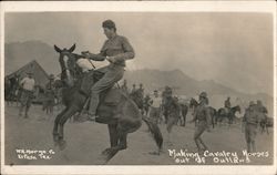 Making Cavalry Horses out of Outlaws El Paso, TX World War I Postcard Postcard Postcard