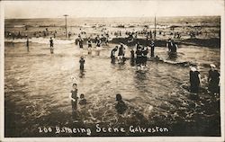 Bathing Scene Galveston, TX Postcard Postcard Postcard