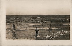 Surf Bathing Postcard