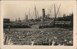 Cotton for Export, Port of Galveston Postcard