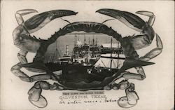 Stock #921098 Thumbnail