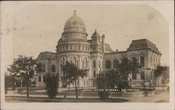 Ball HIgh School Postcard