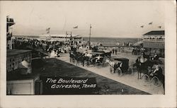 The Boulevard Postcard