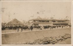 Electric Park and Boulevard Galveston, TX Postcard Postcard Postcard