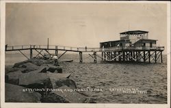 Bettison's Fishing and Pleasure Pier Postcard