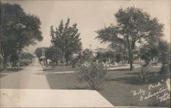 City Park, Palms and houses in view Postcard