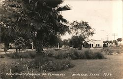 Park and Chamber of Commerce McAllen, TX Postcard Postcard Postcard