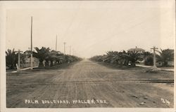 Palm Boulevard McAllen, TX Postcard Postcard Postcard