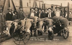 After a hunt in the Rio Grande Valley, hunters pose with deer Postcard