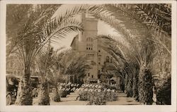 The Post Office San Antonio, TX Postcard Postcard Postcard