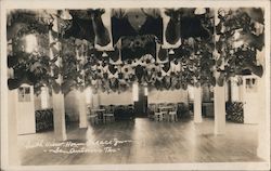 South View, Horn Palace Inn Postcard