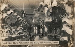 Front View Horn Palace Bar and Cafe San Antonio, TX Postcard Postcard Postcard