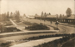 Scene in Volunteer Park Postcard