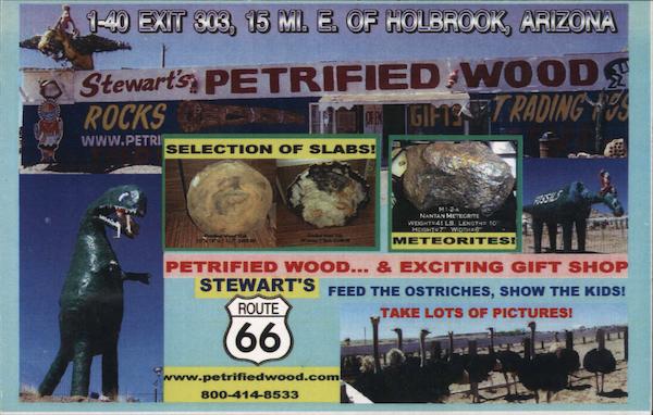 Stewart's Petrified Wood Holbrook Arizona