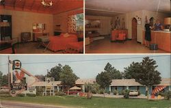 Gamecock Motel Postcard