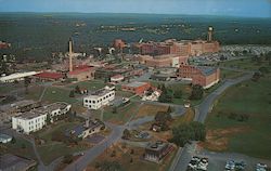 Lederle Laboratories, American Cyanamid Company Postcard