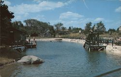 Tempered ocean swimming pool at THE NEWAGEN INN Southport, ME Postcard Postcard Postcard