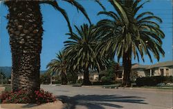 Residential Street in Pacific Palisades, California Postcard