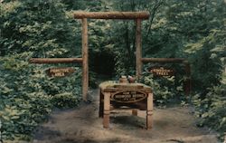 Entrance to the Primitive Area at Trees of Mystery Postcard