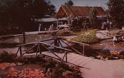 Outdoor Flower Exhibits, California State Fair Postcard