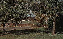 Park scene in Paradise California Postcard Postcard Postcard