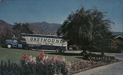 Greyhound Van Lines - Long Distance and Local Moving Postcard