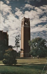 The University of Florida Gainesville, FL Postcard Postcard Postcard