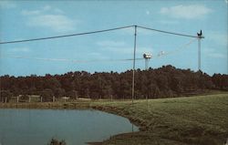 Buffalo Ranch Postcard