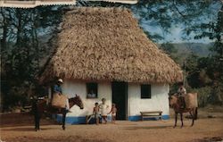 Typical hut in a mountain village of PANAMA INTERIOR Postcard