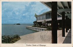 Visitors Center at Flamingo Postcard