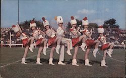 Packer Drum Majorettes Postcard